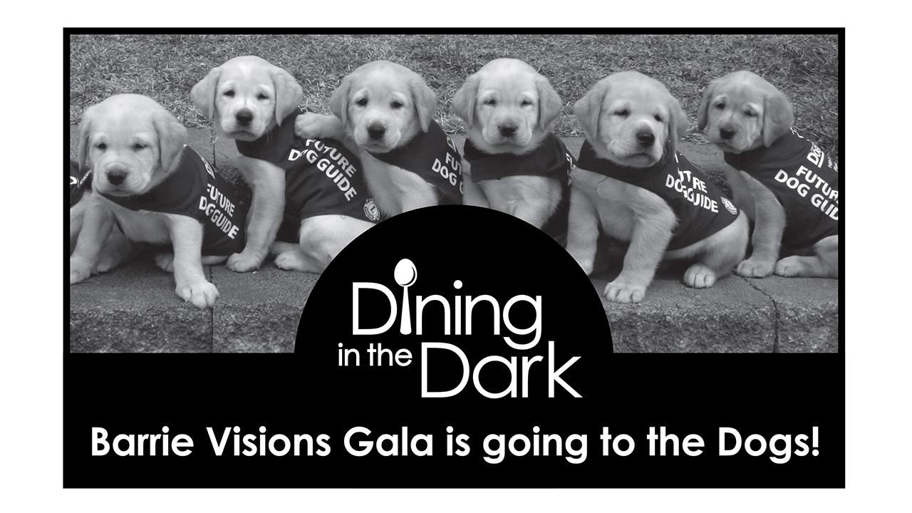 Dining in the Dark by Barrie Visions Gala