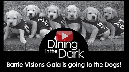 Dining in the Dark - Barrie Visions Gala in support of Lions Foundation of Canada Dog Guides