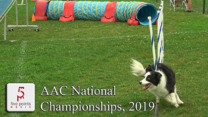 AAC National Dog Agility Championships, 2019